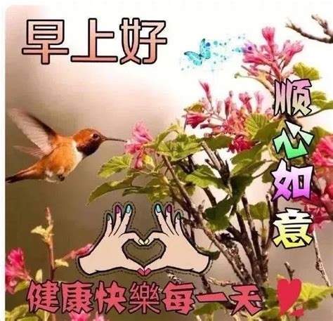 初一祝福图片,初一早上好图片,每月初一吉祥图片大全(第8页)_大山谷图库