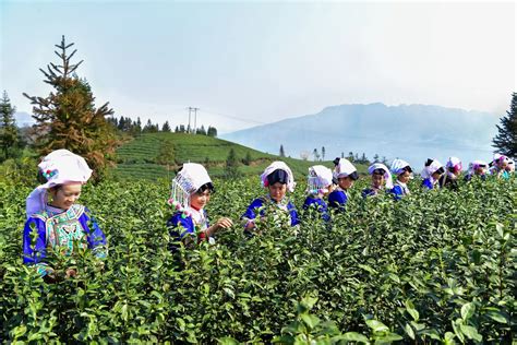 2022年贵州省黔西南州农业技术推广中心面向全州考聘事业单位专业人员资格复审通知