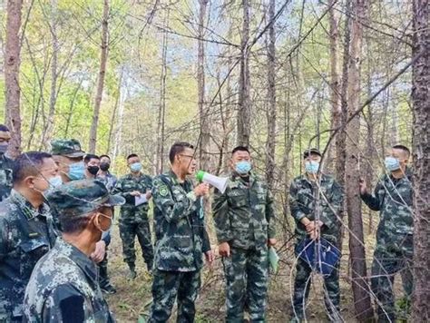 加格达奇林业局组织召开生态修复技能现地培训会
