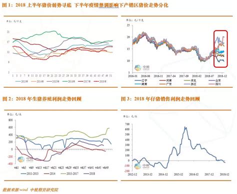 生猪市场分析报告_2018-2024年中国生猪行业全景调研及未来发展趋势报告_中国产业研究报告网