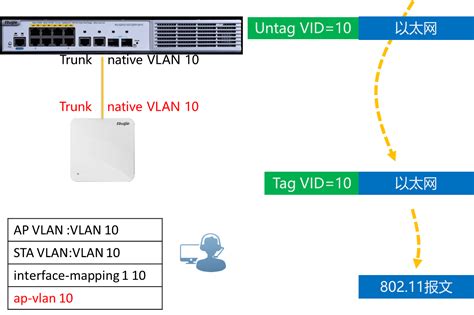 计算机网络：VLAN与VLAN间路由 - cpaulyz - 博客园