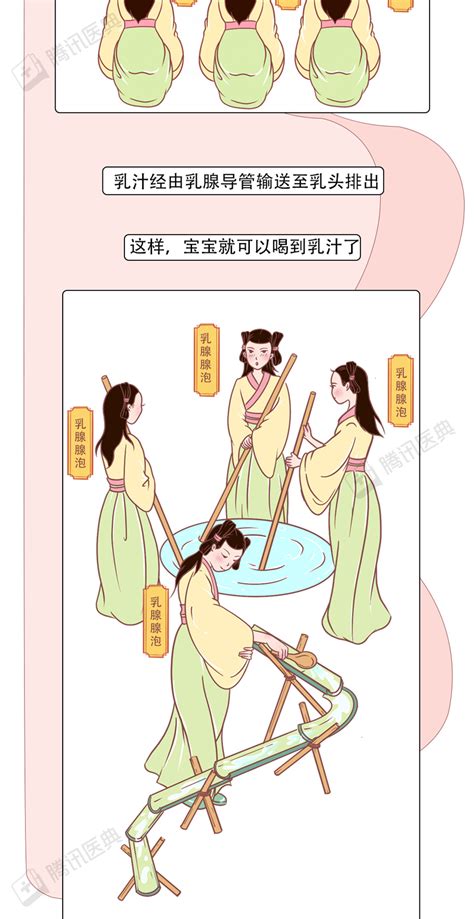 乳房保养的 5 个秘密， 你以前可能搞错了_长江云 - 湖北网络广播电视台官方网站