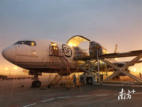 深圳机场首次开通至香港货运包机航线凤凰网广东_凤凰网