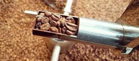 咖啡烘焙的阶段特征 烘焙咖啡的阶段详解 烘焙咖啡特征 咖啡烘焙 中国咖啡网 03月24日更新