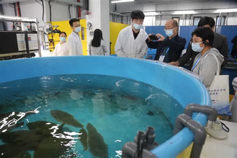 育种也育技术！这里多次改写中国水产育种史-黄海水产研究所