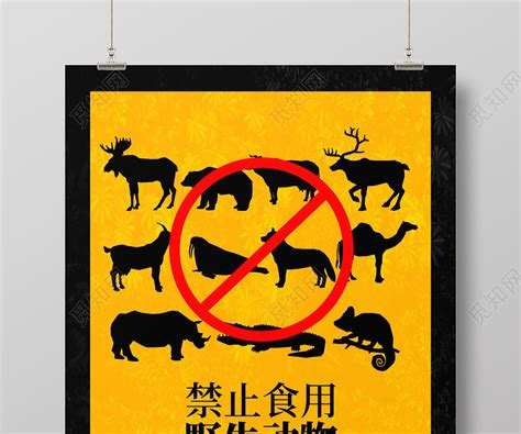 禁止野生动物图片-禁止野生动物素材免费下载-包图网