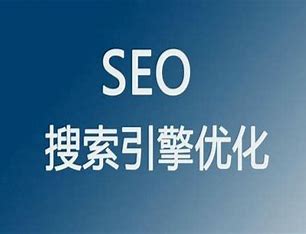上海搜索引擎优化网站 的图像结果
