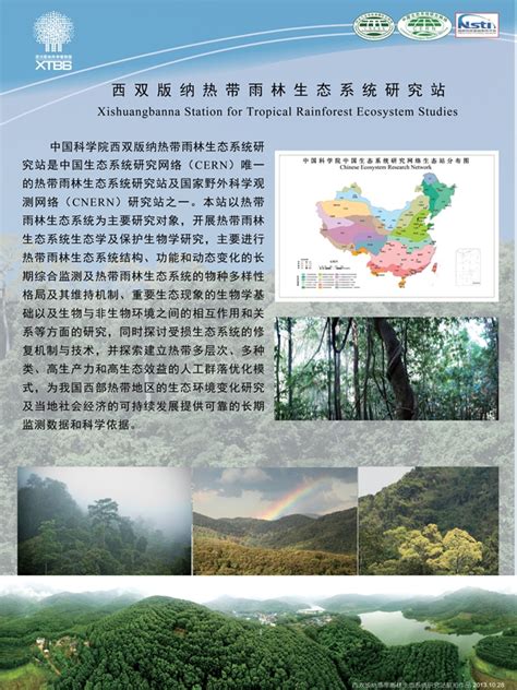 热带雨林与生物多样性热雨林如何改善全球环境健康-仿真假山与仿真树作用