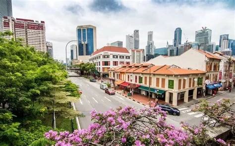 新加坡生活｜新加坡人气街道“牛车水唐人街”有多特别呢？__凤凰网