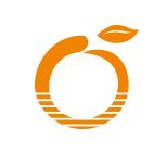 乔金花 - 中山市橙子信息技术有限公司 - 法定代表人/高管/股东 - 爱企查