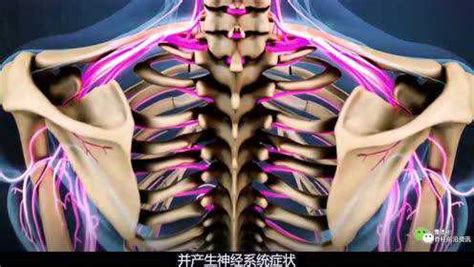 两分钟了解颈椎的解剖（3D动画）_腾讯视频