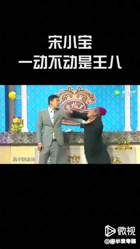 一动不动是王八图片