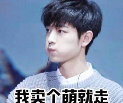 肖战表情包晚安图片