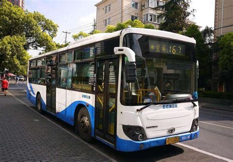 “神秘”的167路公交车_澎湃号·湃客_澎湃新闻-The Paper