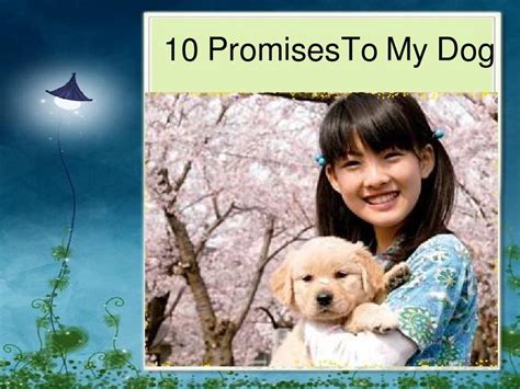 我和狗狗的十个约定10_PromisesTo_My_Dog_word文档在线阅读与下载_文档网