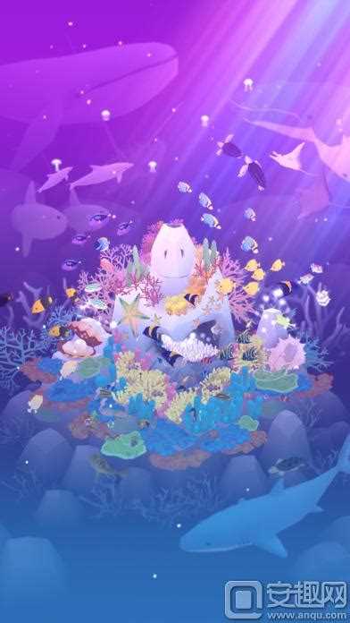 深海水族馆图片