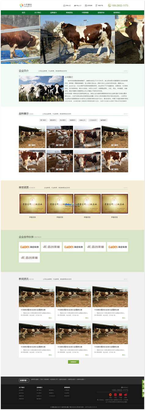 卢怀涛：优化集成蛋鸡养殖技术 打造全国一流的青年蛋鸡养殖产业链第一品牌-中国质量新闻网