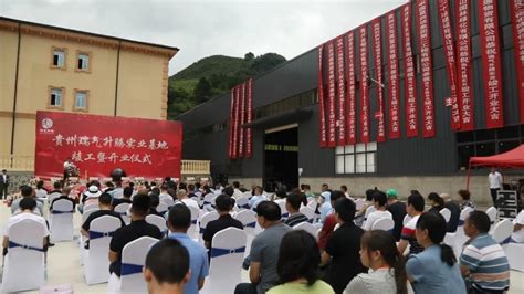 贵定：贵州瑞气升腾实业有限公司GRC墙体材料生产项目竣工投产