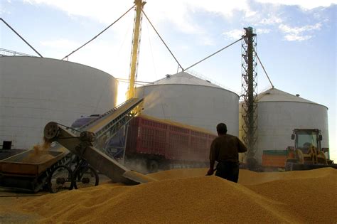 玉米加工设备_河南中瑞粮油机械设备厂家
