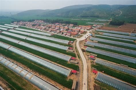 2022年上半年赤峰市农牧业经济运行情况如何？答案在这里-赤峰-内蒙古新闻网
