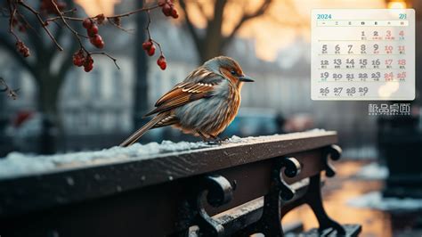 月历壁纸/2024年10月～12月部分cr.@verw图片