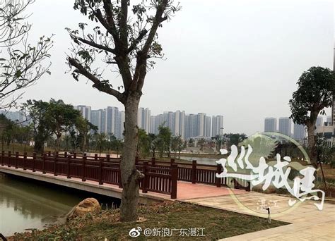 惊喜！湛江市区又多了一座原生态的大型公园[赞]