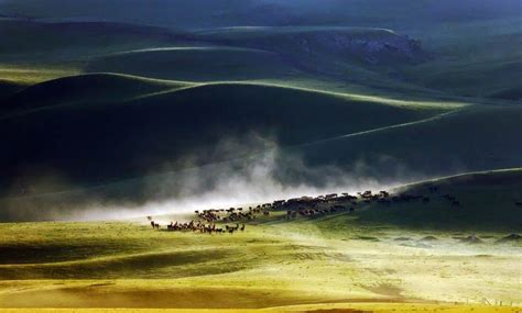夏日旅游就来内蒙古 这样的草原是用来打板的