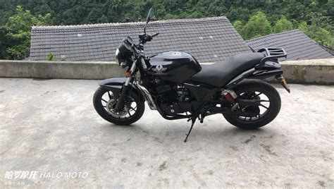 大地鹰王摩托车品牌>沙尘暴DD150E-2D报价车型图片-摩托范-哈罗摩托