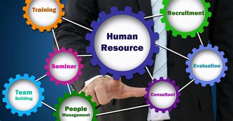HR的专业与职业（4）-知识和储备 ——HR的基础知识和工作流程 - 知乎