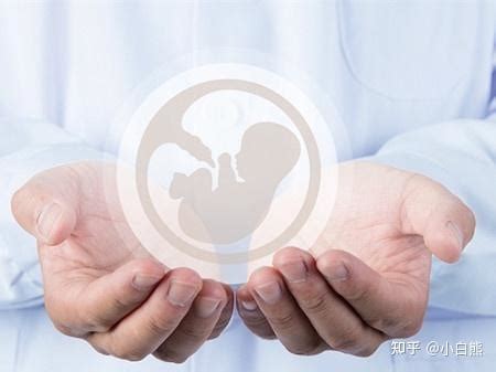 做试管，三种方式提升胚胎质量 - 好孕无忧