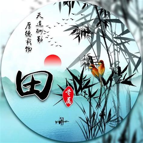 田姓氏头像非主流