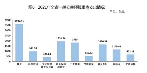 【图表解读】2021年全省代编一般公共预算说明 - 广东省财政厅