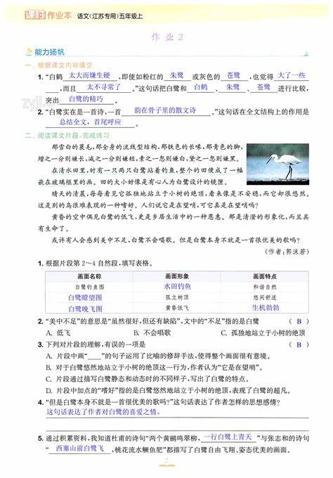 白鹭：大自然的优雅使者与生态平衡的守护者