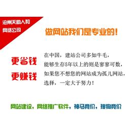 天助人和网络推广(图)-沧州个人网站制作-沧州网站制作_工具软件_第一枪