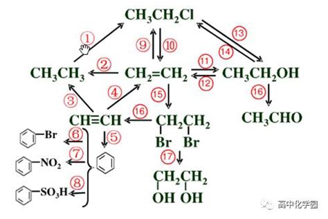 有机化合物的分类框图,有机化合物分类树状图,有机化合物的分类(第8页)_大山谷图库