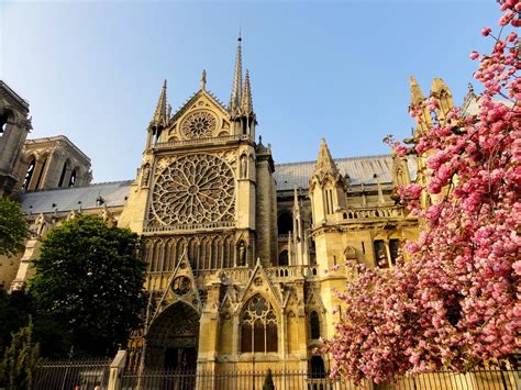 往日的巴黎圣母院，有哪些绝美艺术？_凤凰网
