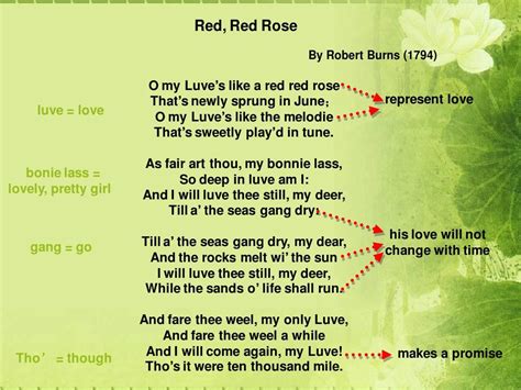 poem(red red rose)经典英文诗歌_word文档免费下载_文档大全