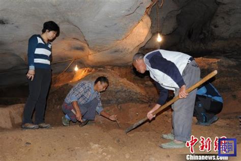岱庙资讯-文博快讯-湖南道县古人类遗址再次发掘20枚人类牙齿化石