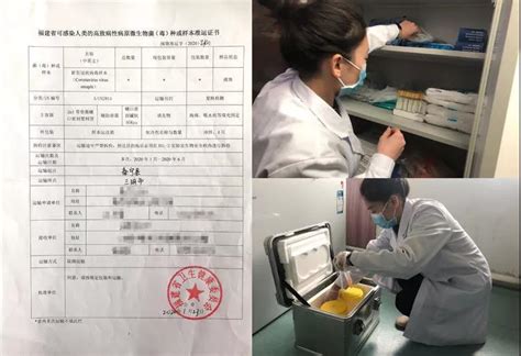 【抗“疫”先锋】与病毒零距离接触的疾控检验人 - 头版头条 --中国泰宁在线