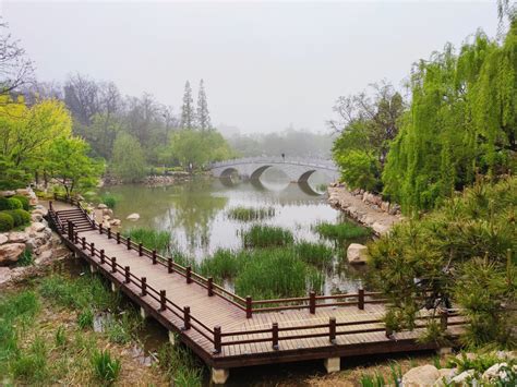 北京植物园秋天好看吗 北京植物园秋季有啥花_旅泊网