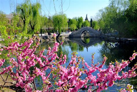 水木清华对联,水木,水木标志_大山谷图库