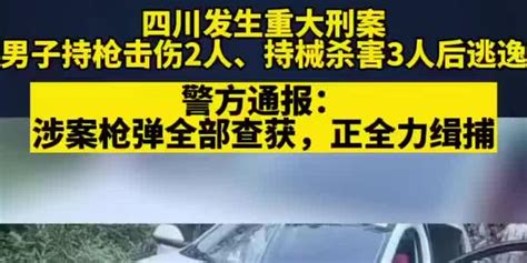 四川乐山警方通报持枪伤人案：正全力开展缉捕工作_手机新浪网