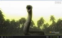 恐龙战争：泰坦巨蟒pk史前巨鳄，鳄鱼被泰坦巨蟒吞了_高清1080P在线观看平台_腾讯视频