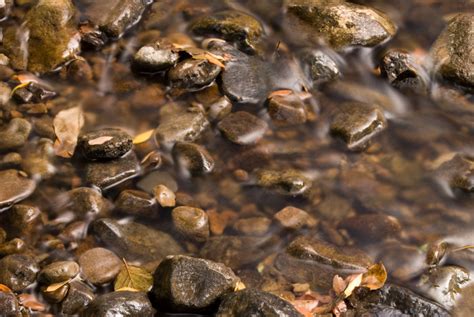 河水中的石头石子图片-包图网