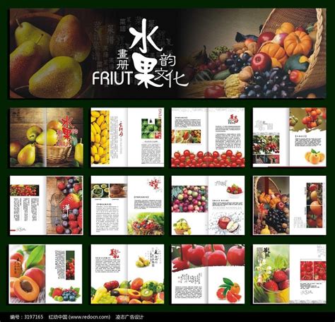 水果宣传画册图片_画册_编号3197165_红动中国