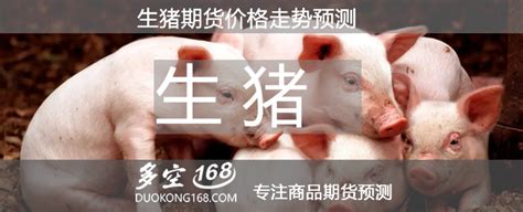 生猪期货行情(2022年9月29日生猪期货价格) - 知乎