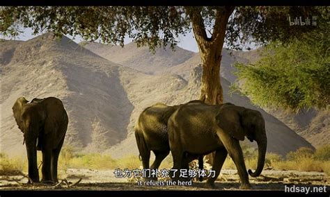 BBC自然纪录片《伊甸园最后的秘境》_腾讯视频