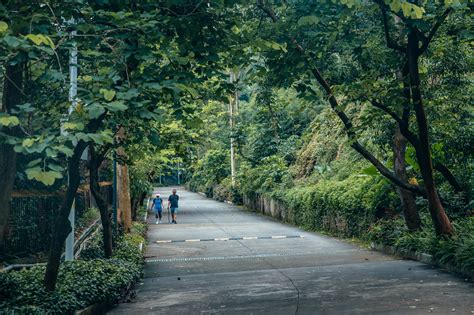 深圳南山公园(大南山）图片浏览-深圳南山公园(大南山）图片下载 - 酷吧图库