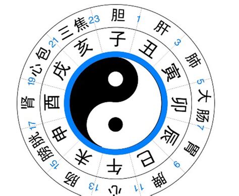 八卦图解图片