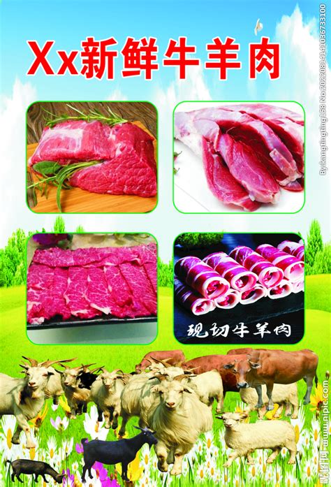 牛羊肉设计图__海报设计_广告设计_设计图库_昵图网nipic.com